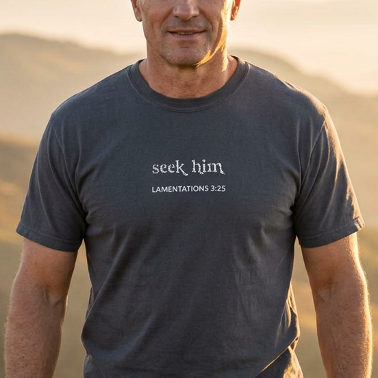 A man wearing a dark gray t-shirt with the text 'seek him' and 'LAMENTATIONS 3:25' printed on the chest, standing outdoors against a warm, sunlit mountain landscape.