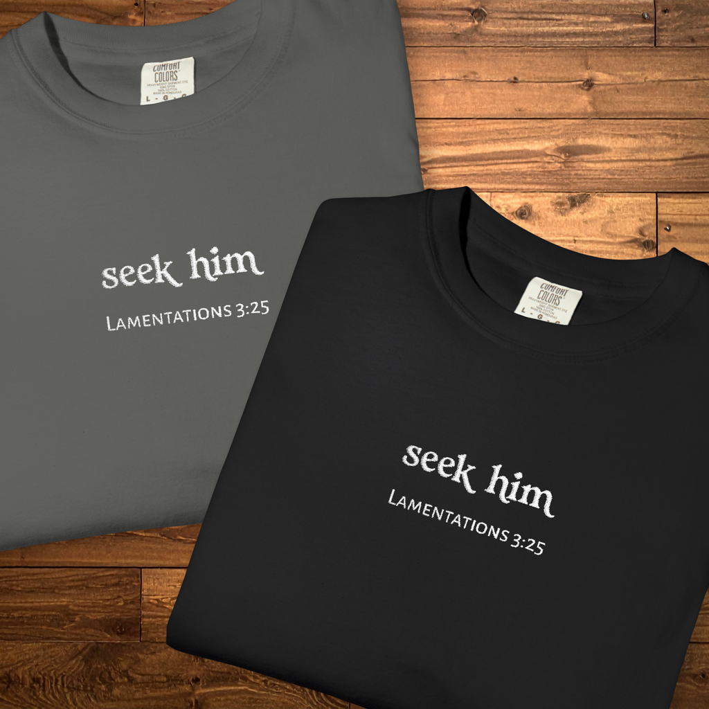 Seek Him Embroidered T-Shirt | Lamentations 3:25 Faith Tee